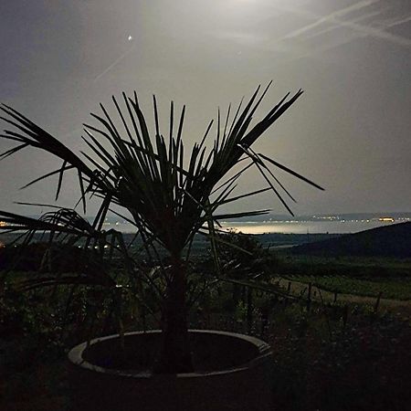 DörgicsePanorama, Balaton别墅 外观 照片