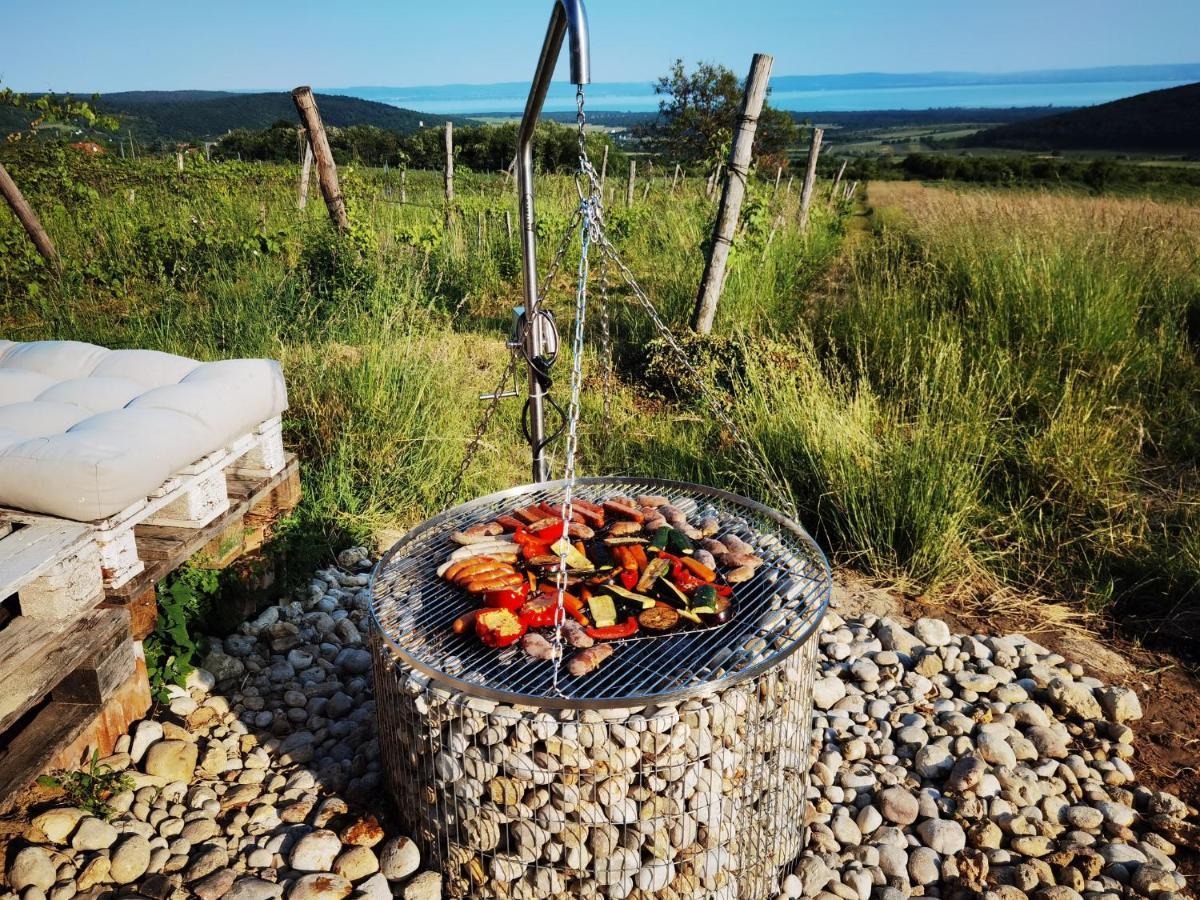 DörgicsePanorama, Balaton别墅 外观 照片