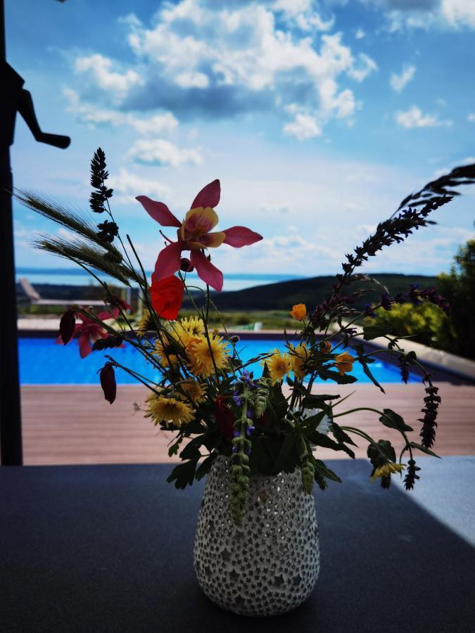 DörgicsePanorama, Balaton别墅 外观 照片