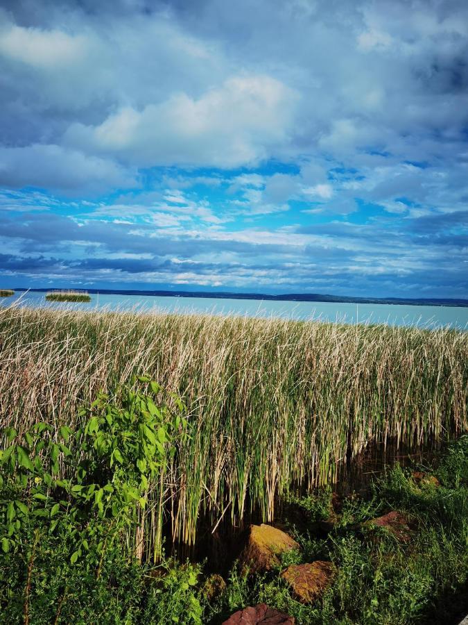 DörgicsePanorama, Balaton别墅 外观 照片