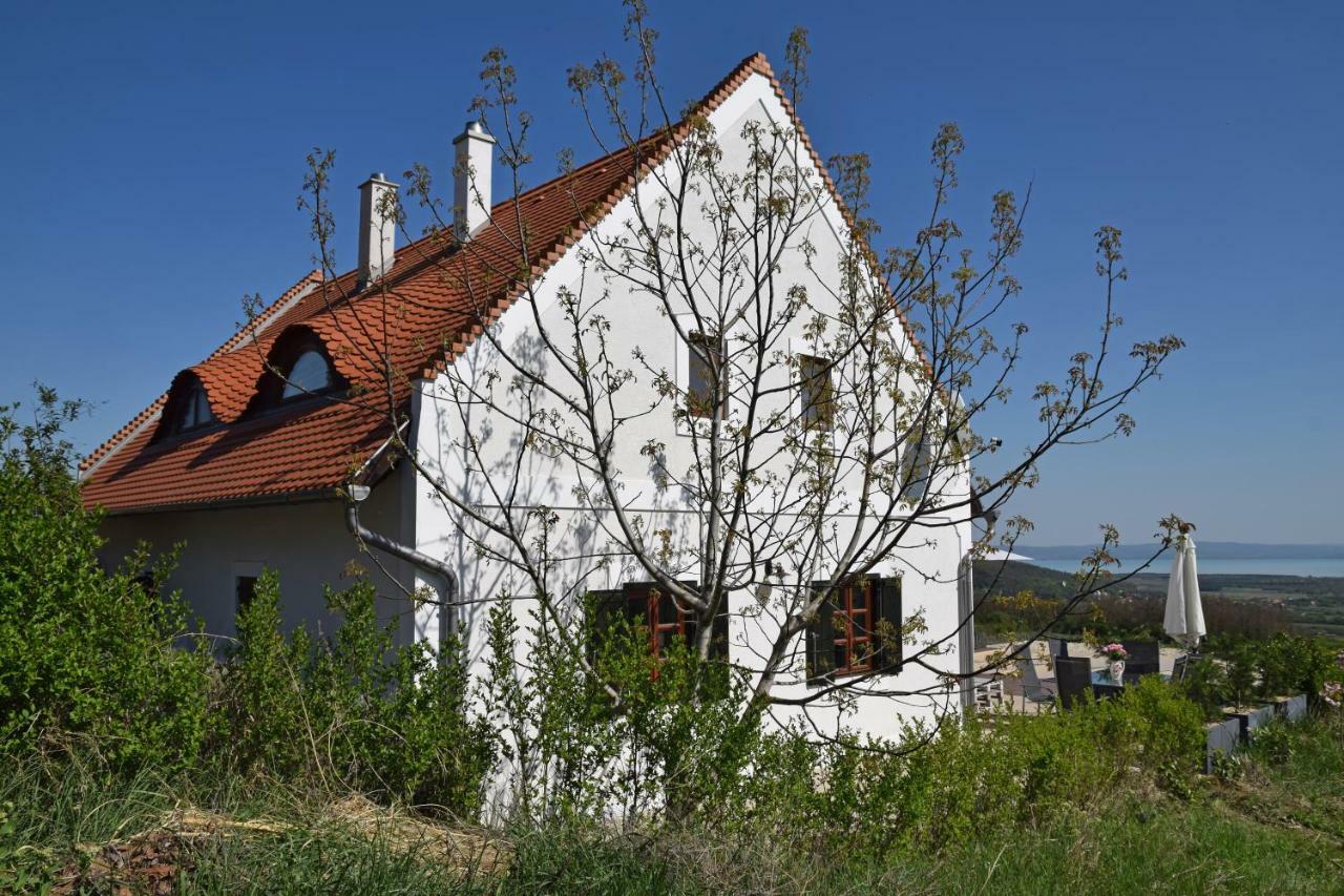 DörgicsePanorama, Balaton别墅 外观 照片